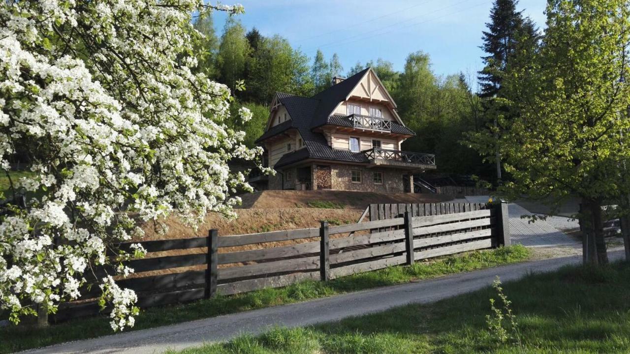 Tylmanowka Villa Tylmanowa Kültér fotó